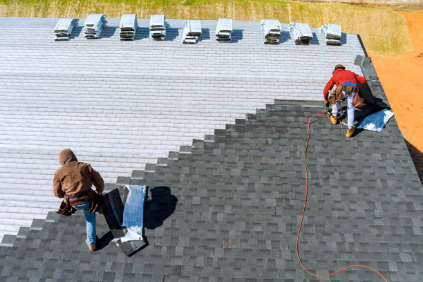 Best Roof Restoration Services  in Glespie, IL