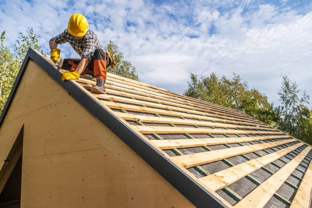 Best Sealant for Roof  in Glespie, IL