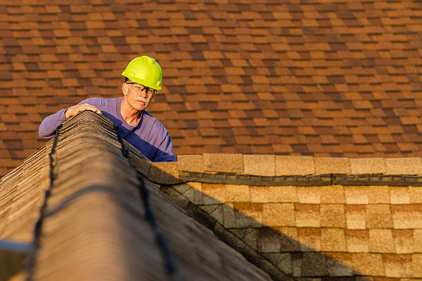 Best Storm Damage Roof Repair  in Glespie, IL