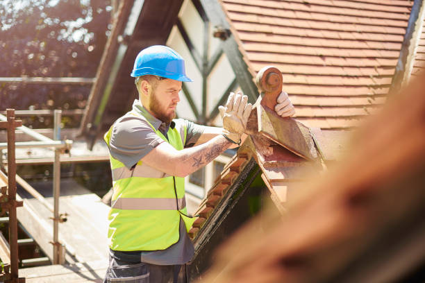 Best Sealant for Roof  in Glespie, IL