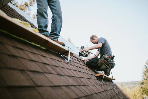 Best Roof Maintenance Services  in Glespie, IL